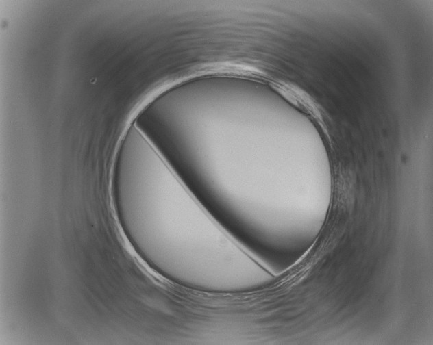 X0000083561391200702090804