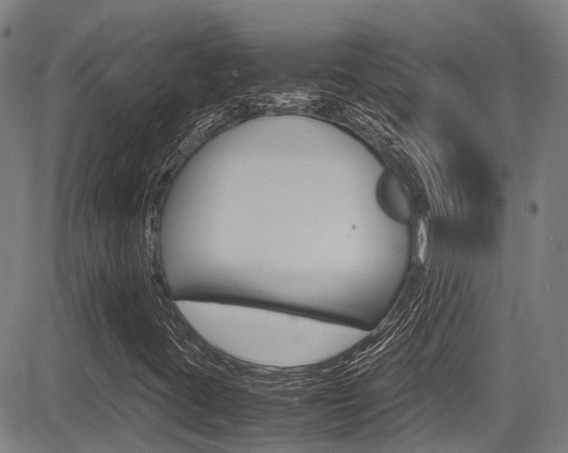 X0000083561395200702090803