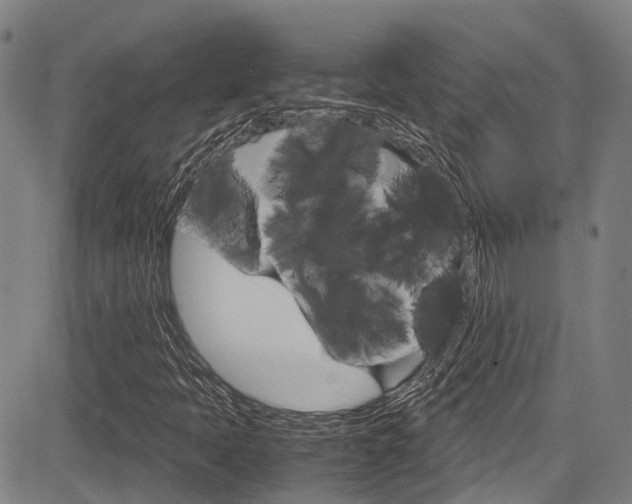 X0000083561397200702090803