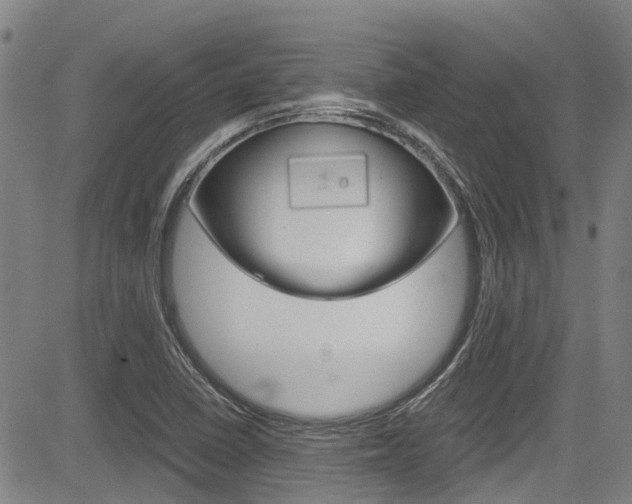 X0000083561410200702090803