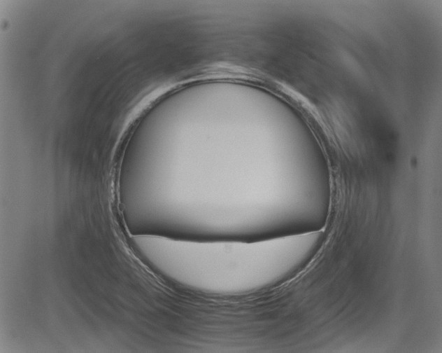 X0000083561415200702090803
