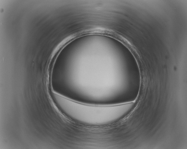 X0000083561418200702090803