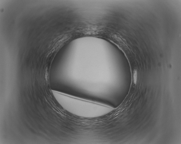 X0000083561444200702090803