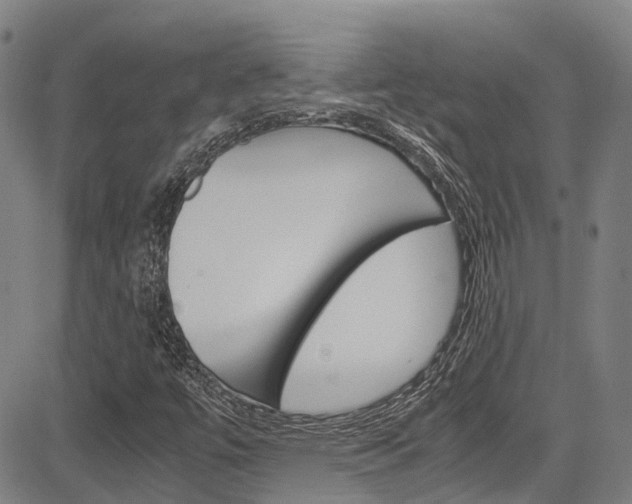 X0000083561447200702090803