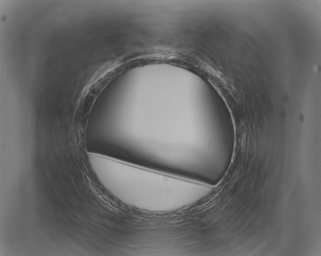 X0000083561448200702090803
