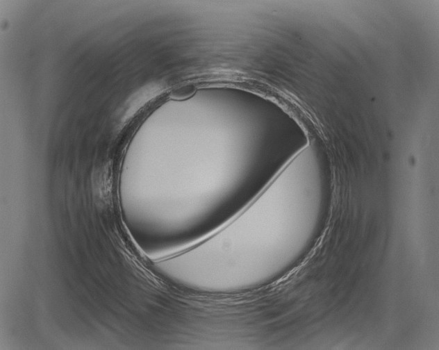 X0000083561450200702090803