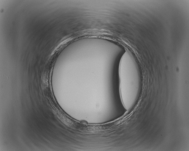 X0000083561451200702090803
