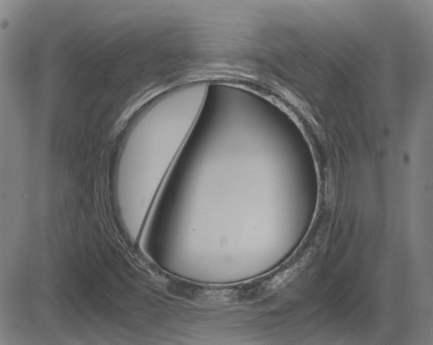 X0000083561453200702090803