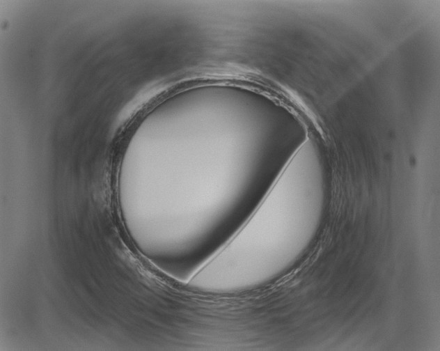 X0000083561456200702090803