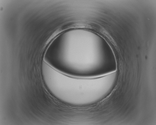 X0000083561465200702090803