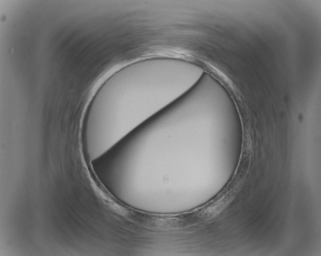 X0000083561471200702090802