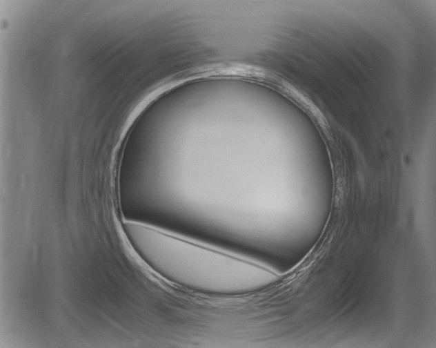 X0000083561483200702090802
