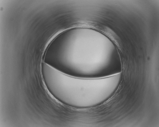 X0000083561484200702090802