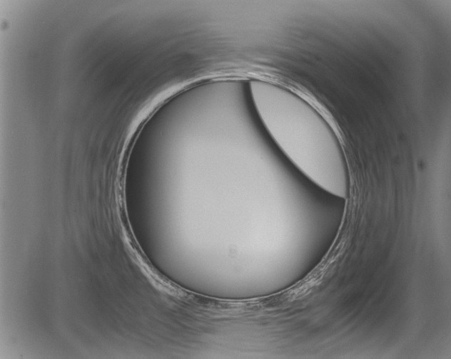 X0000083561485200702090802