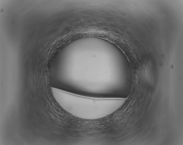 X0000083561493200702090801