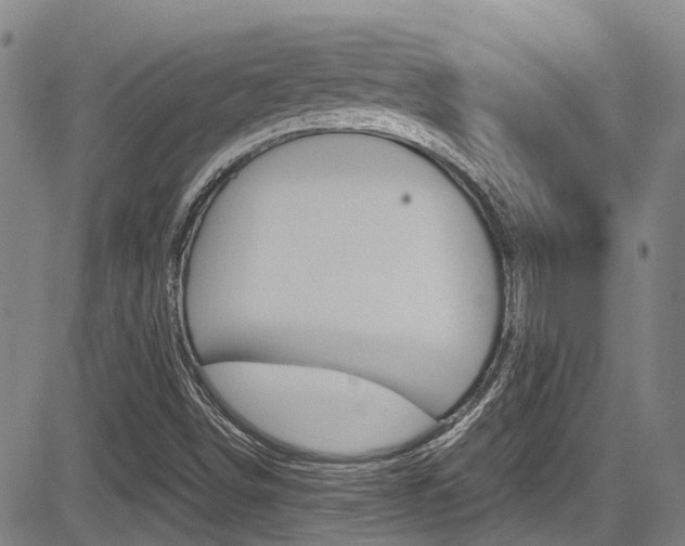 X0000083561498200702090801