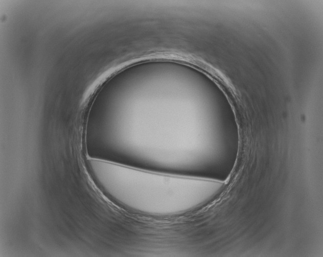 X0000083561504200702090802