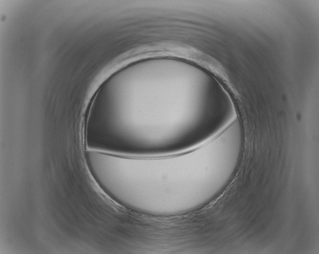 X0000083561516200702090802
