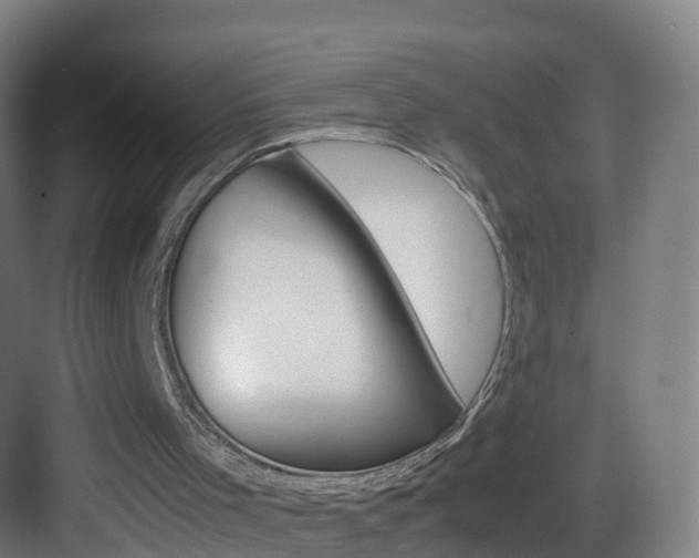 X0000083560001200702091137