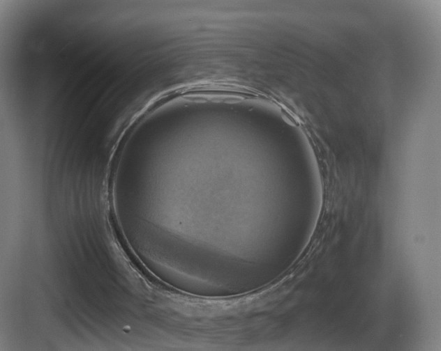X0000083560002200702091137