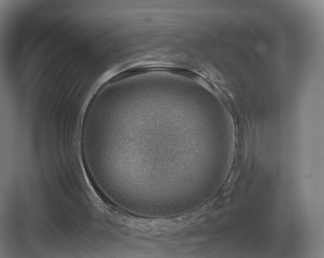 X0000083560003200702091137