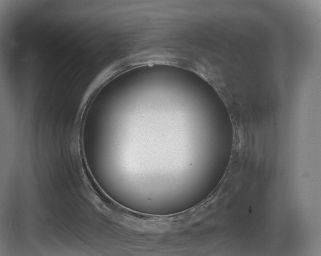 X0000083560004200702091137