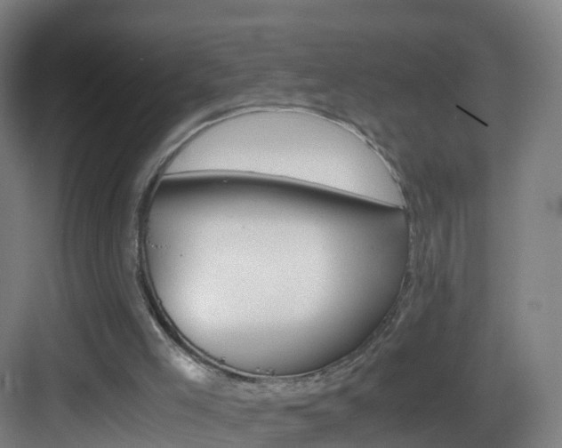 X0000083560005200702091137