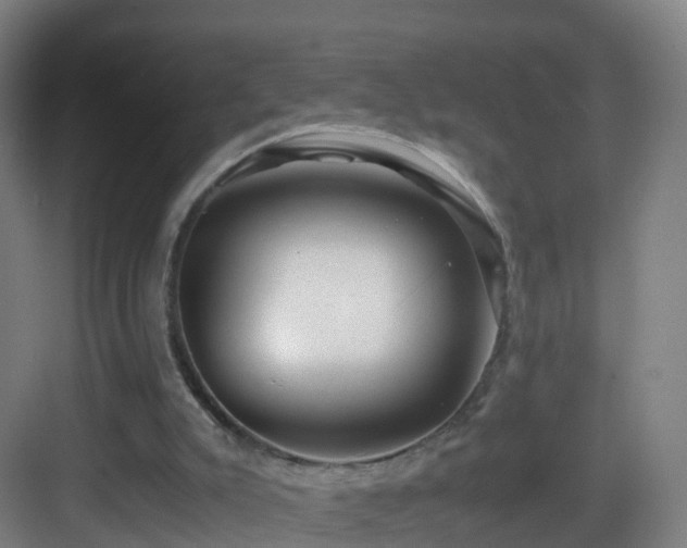 X0000083560007200702091137