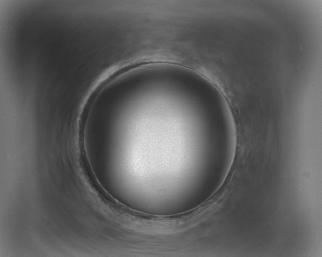 X0000083560008200702091137