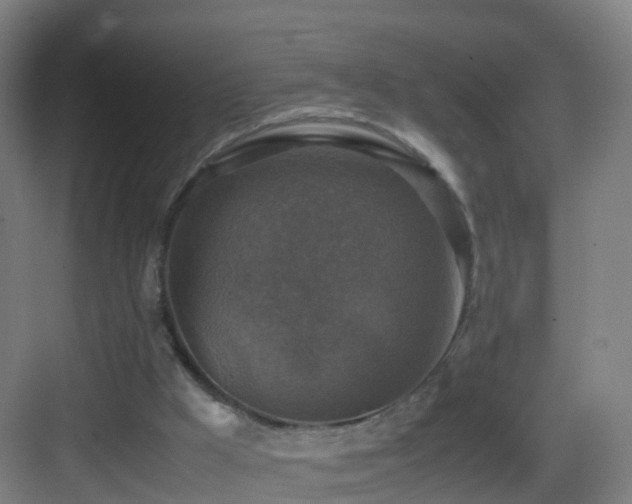 X0000083560009200702091137