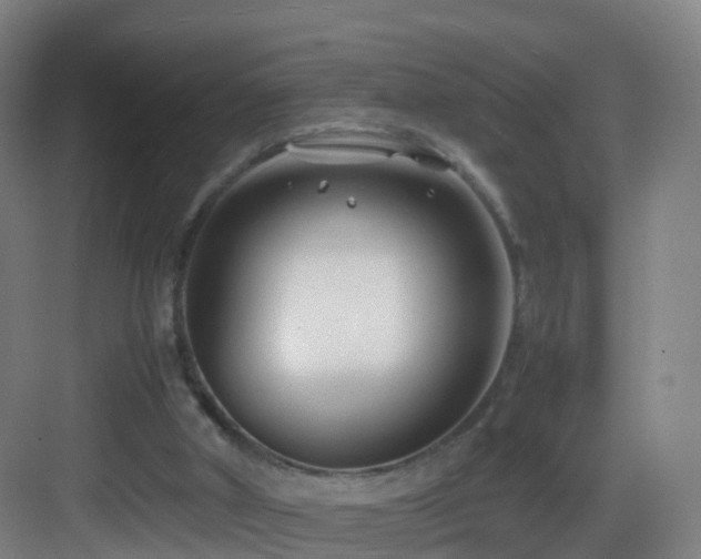 X0000083560010200702091137