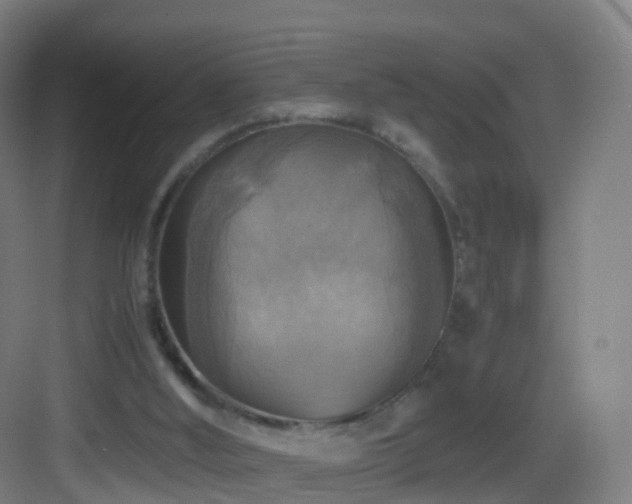 X0000083560012200702091137