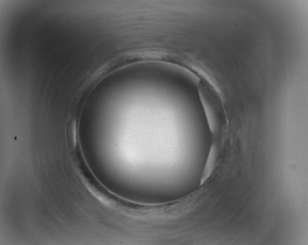 X0000083560013200702091137