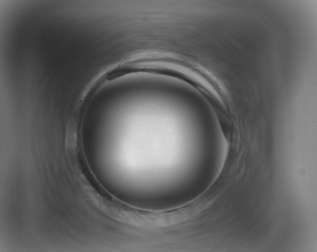 X0000083560015200702091136