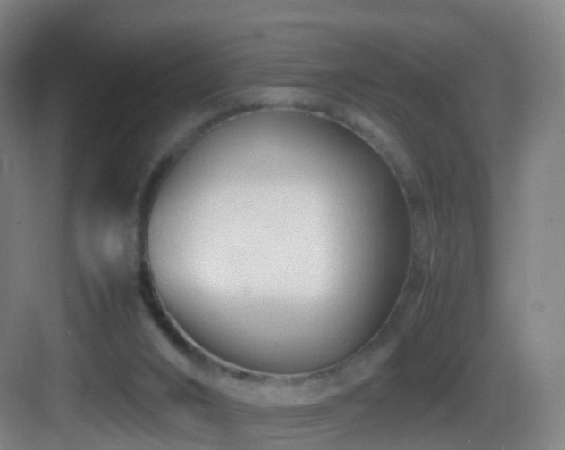 X0000083560016200702091136