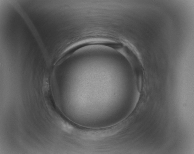 X0000083560017200702091136