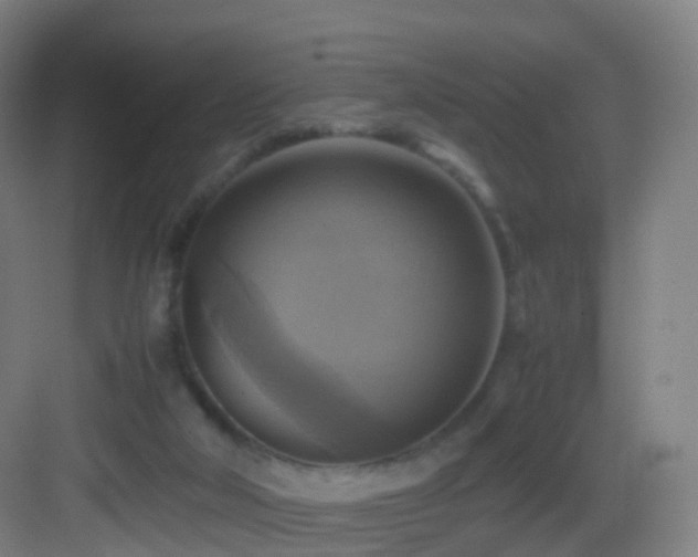 X0000083560018200702091136