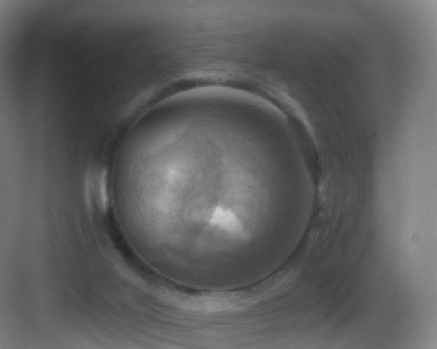 X0000083560020200702091136