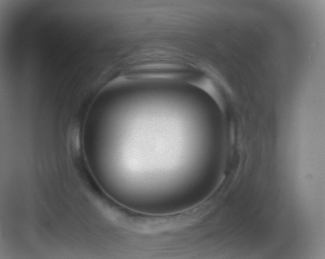 X0000083560021200702091136