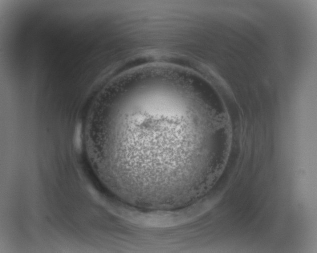 X0000083560024200702091136