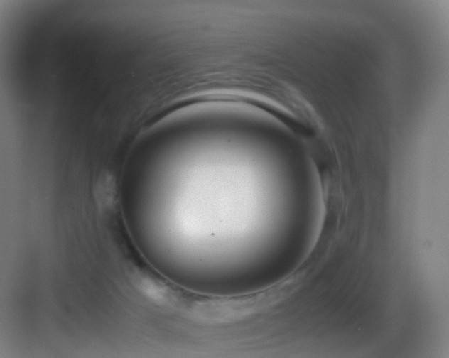 X0000083560025200702091136