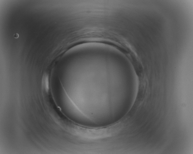 X0000083560027200702091136