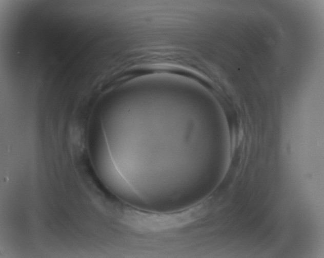 X0000083560031200702091136