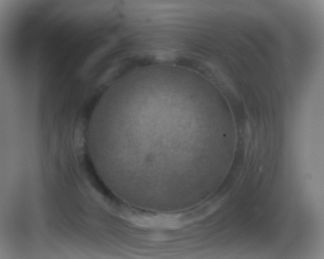 X0000083560032200702091136