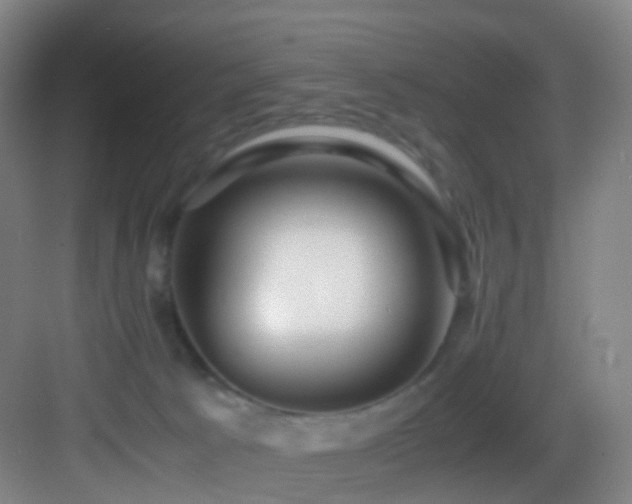 X0000083560033200702091136