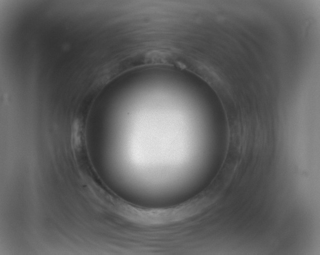 X0000083560038200702091136