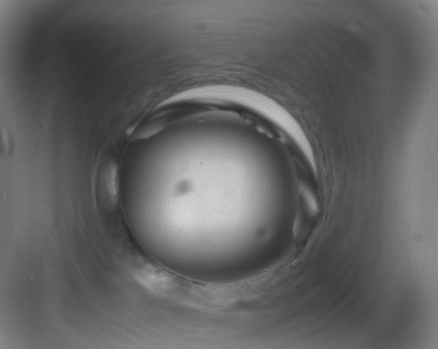 X0000083560041200702091136