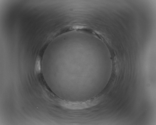 X0000083560042200702091136