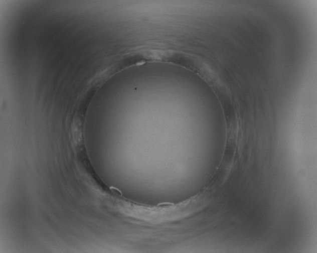 X0000083560043200702091136