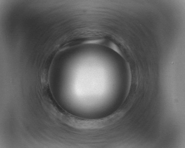 X0000083560044200702091136